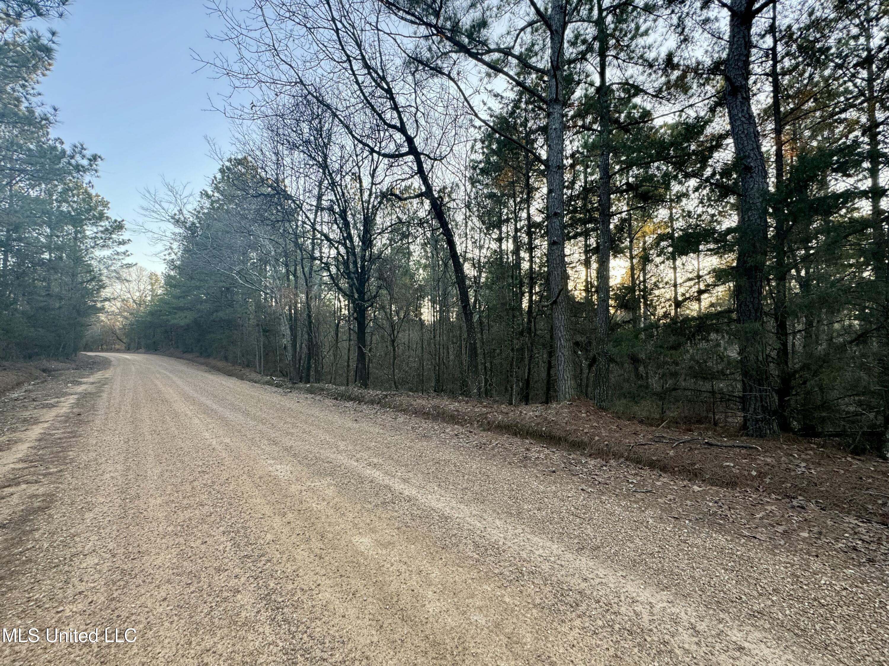 1113 County Road Kosciusko, MS 39090 - Photo 8 of 8 IMG_1132