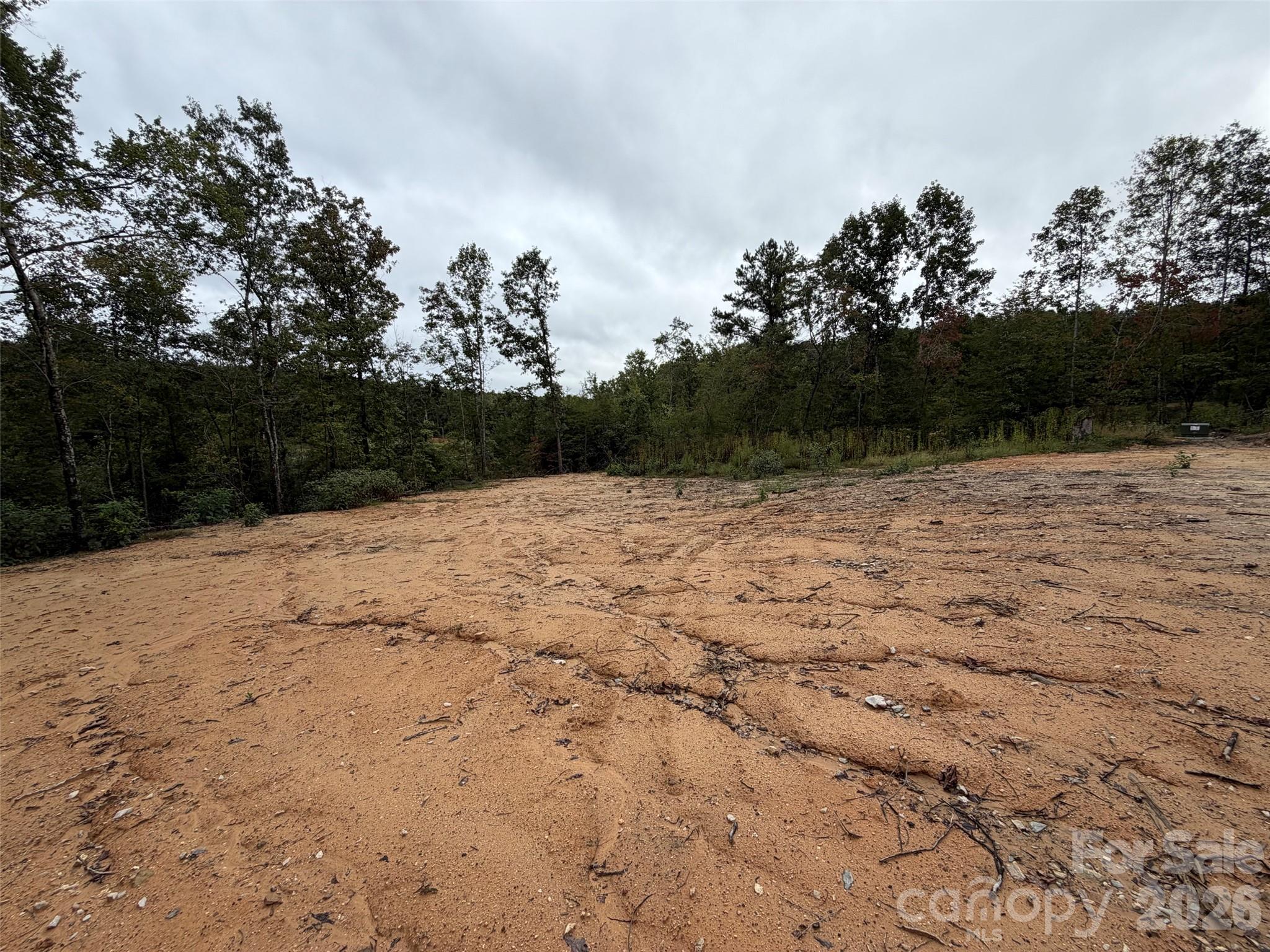 V/l West Thompson Road Rutherfordton, NC 28139 - Photo 8 of 21 Gallery Image 8