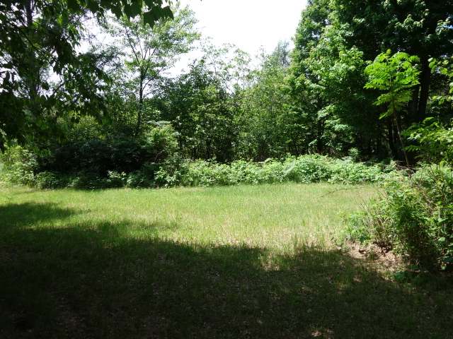 Lot 1 Mud Lake Road Tomahawk, WI 54487 - Photo 5 of 8 Gallery Image 5