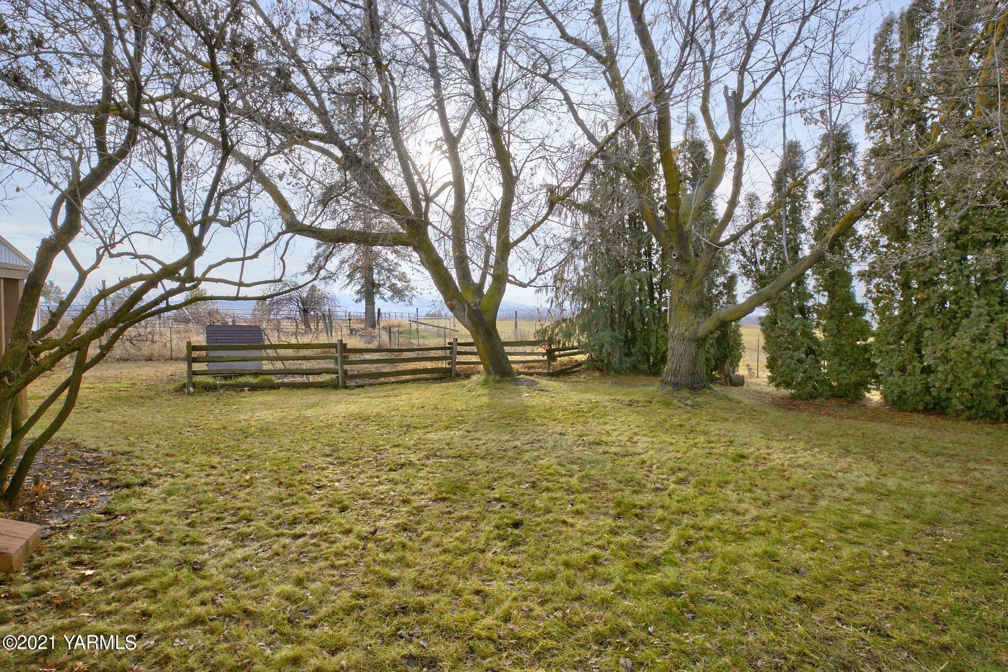 390 Wilcox Road Cowiche, WA 98923 - Photo 8 of 30 7 Backyard Lawn
