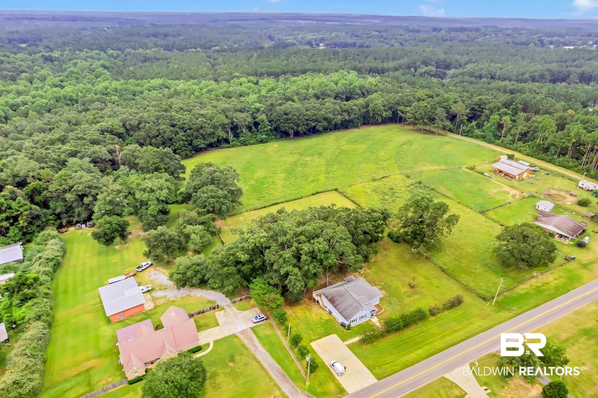 35650 Spring Road North Stapleton, AL 36578 - Photo 66 of 70 Bird's eye view of a forest
