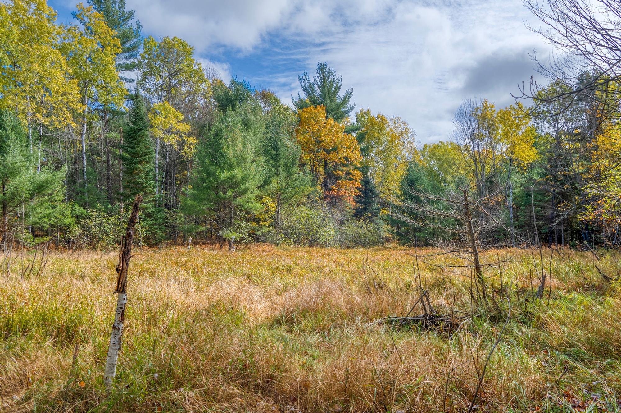 4663 Dyer Road Eagle River, WI 54521 - Photo 13 of 27 Gallery Image 13