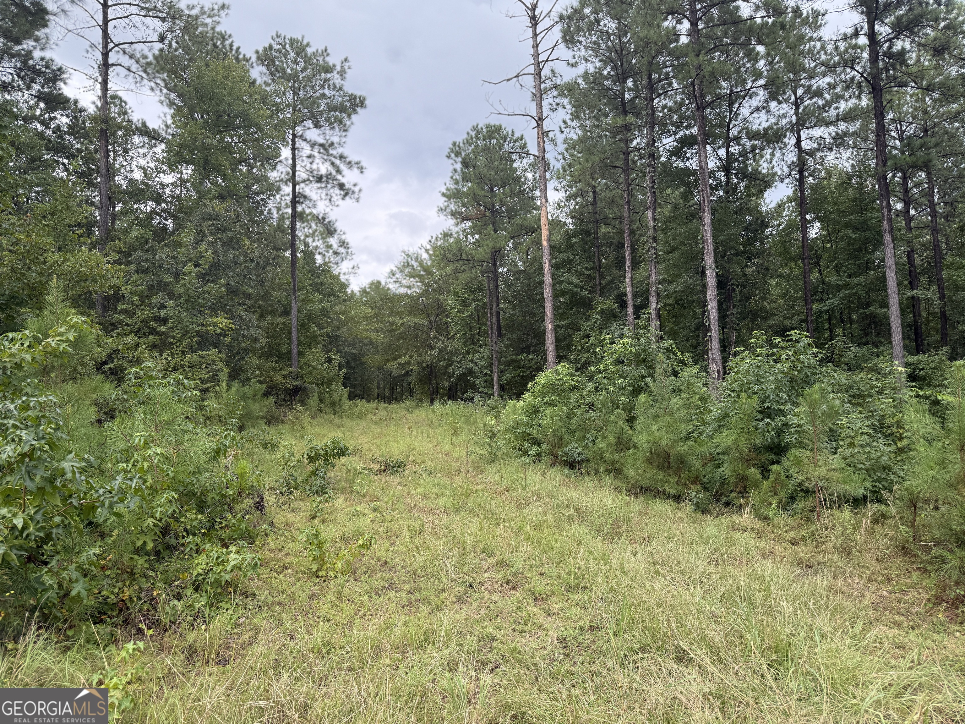 39.87-acres Irby Road Gibson, GA 30810 - Photo 27 of 56 Gallery Image 27