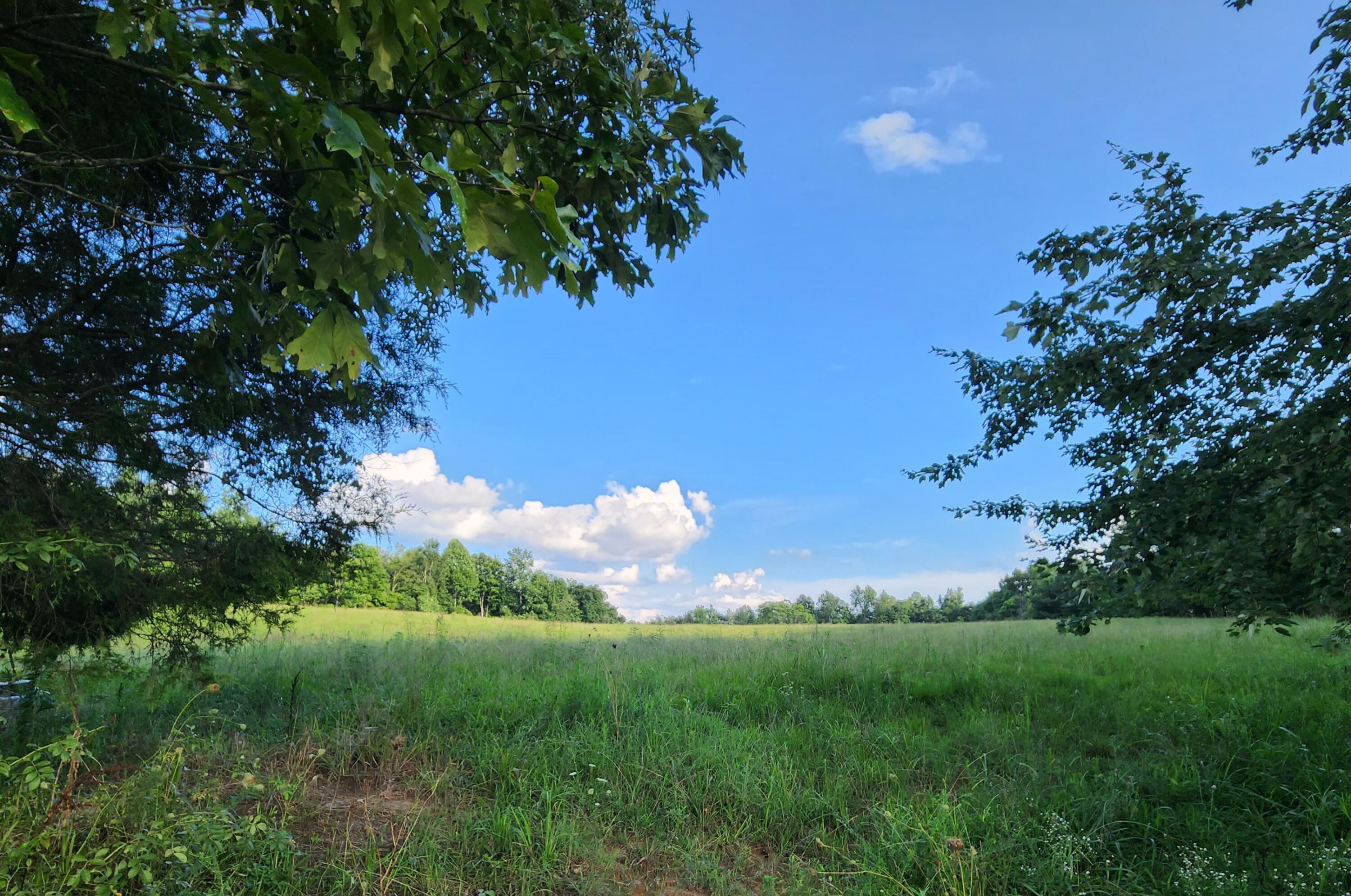 629 Tobin Ridge Road Albany, KY 42602 - Photo 1 of 12 20220808_173313