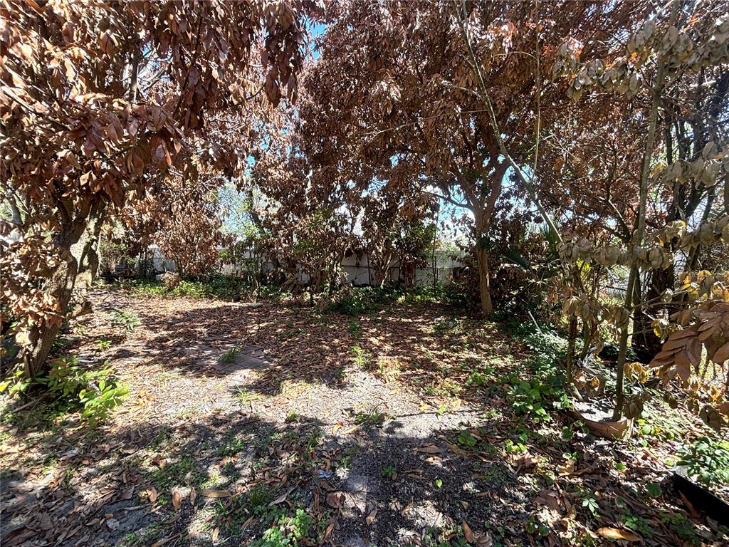 531 Carlisle Avenue Altamonte Springs, FL 32714 - Photo 17 of 18 a view of mountain view with lots of trees