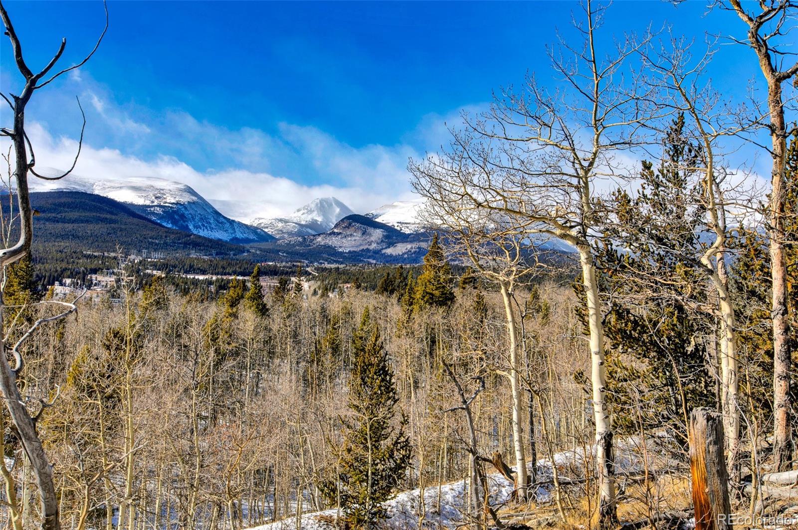 a view of a backyard of the house