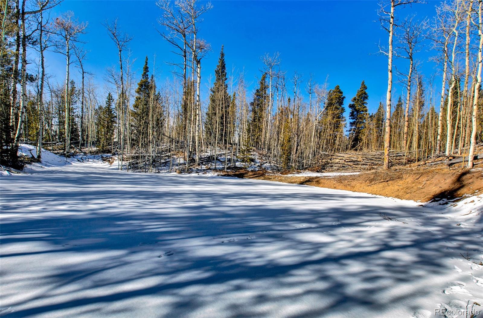 96 Dead Toad Road Alma, CO 80420 - Photo 9 of 41 Gallery Image 9