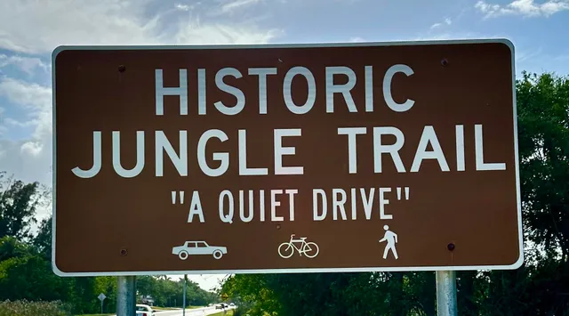 a view of a yard with plants and large trees