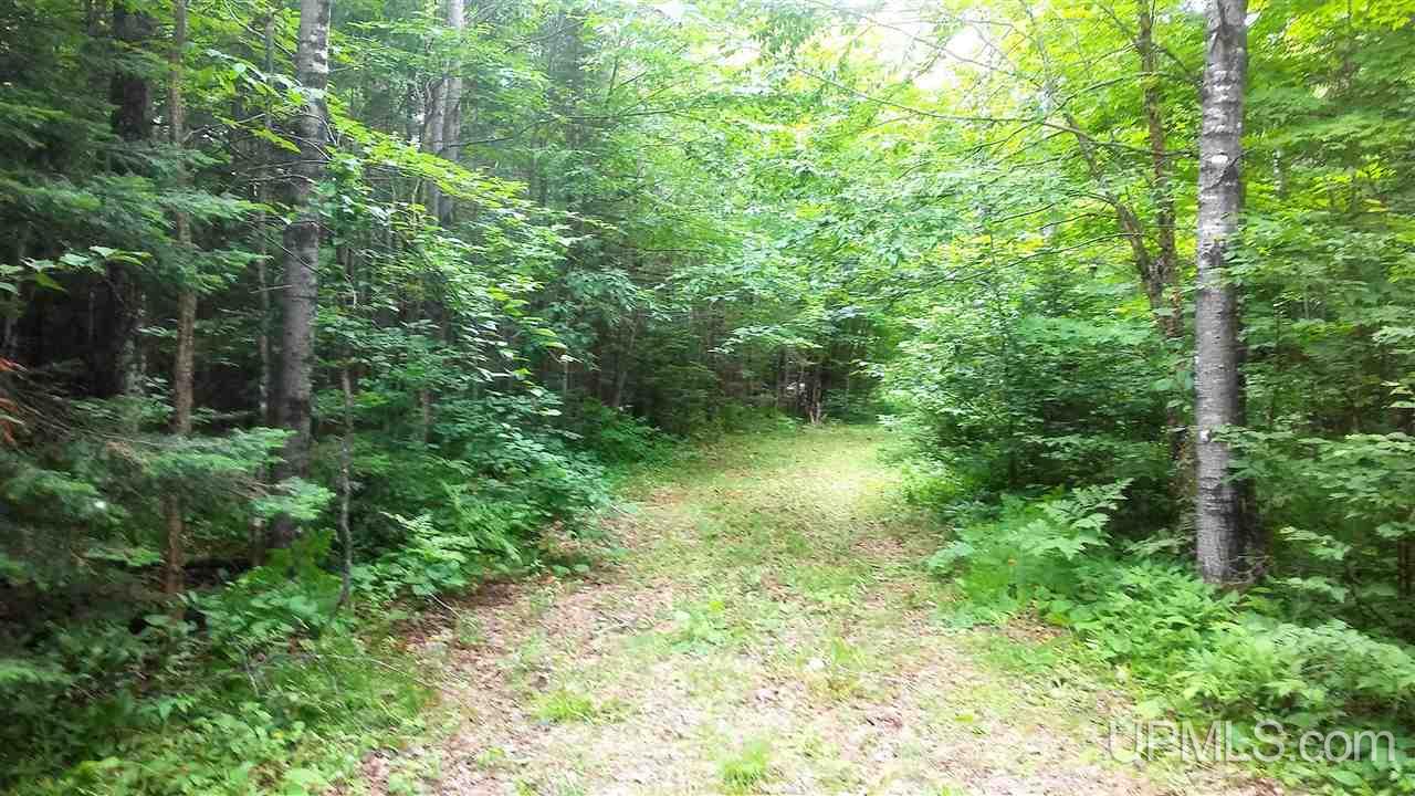 10480 North Riverside Road Hurley, WI 54534 - Photo 17 of 18 Gallery Image 17