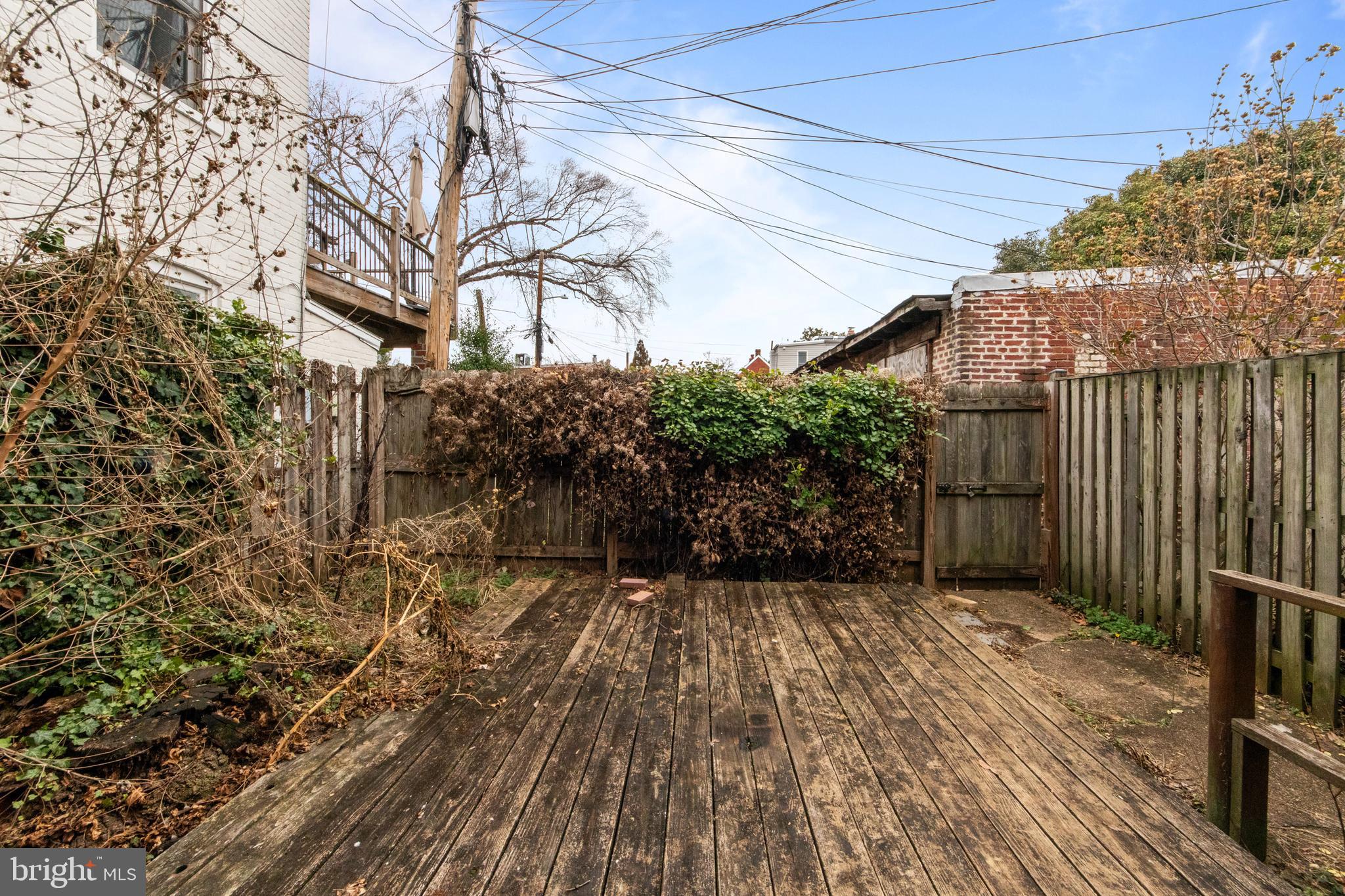 1014 Independence Avenue Southeast Washington, DC 20003 - Photo 41 of 51 a view of backyard with pathway