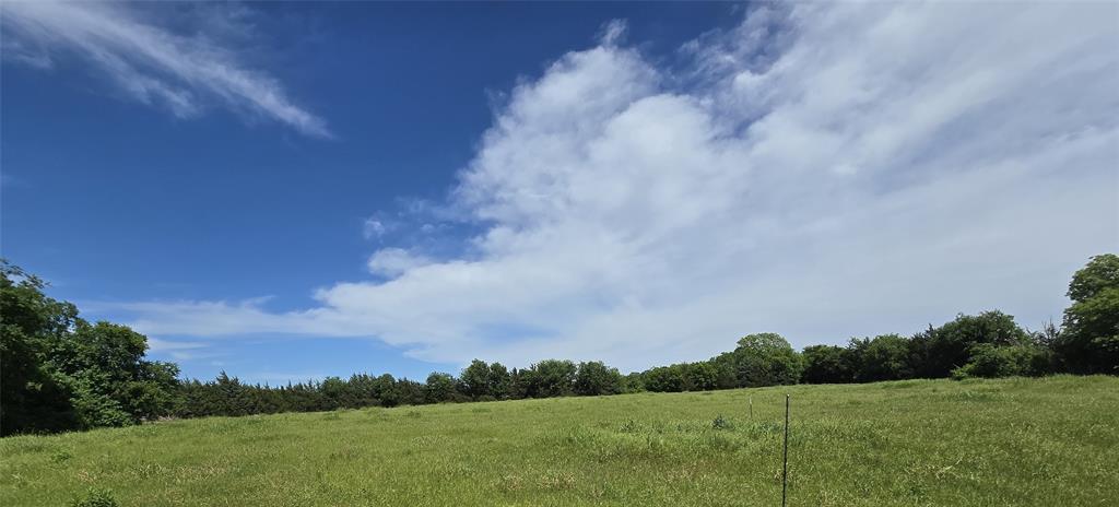 1039 County Road 1039 Blue Ridge, TX 75424 - Photo 7 of 8