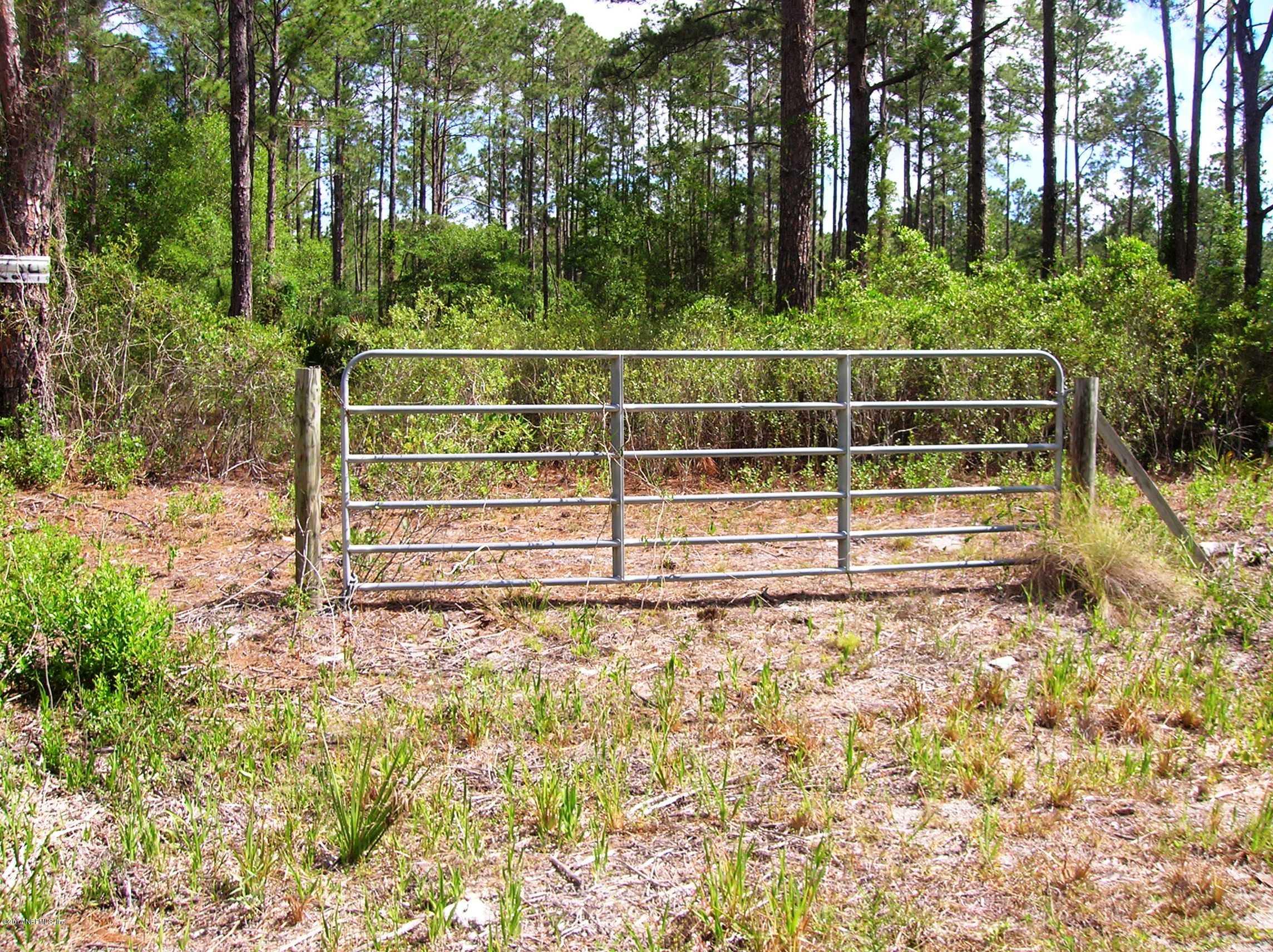 224 Georgetown Denver Road Georgetown, FL 32139 - Photo 1 of 10 Gated entrance to lot