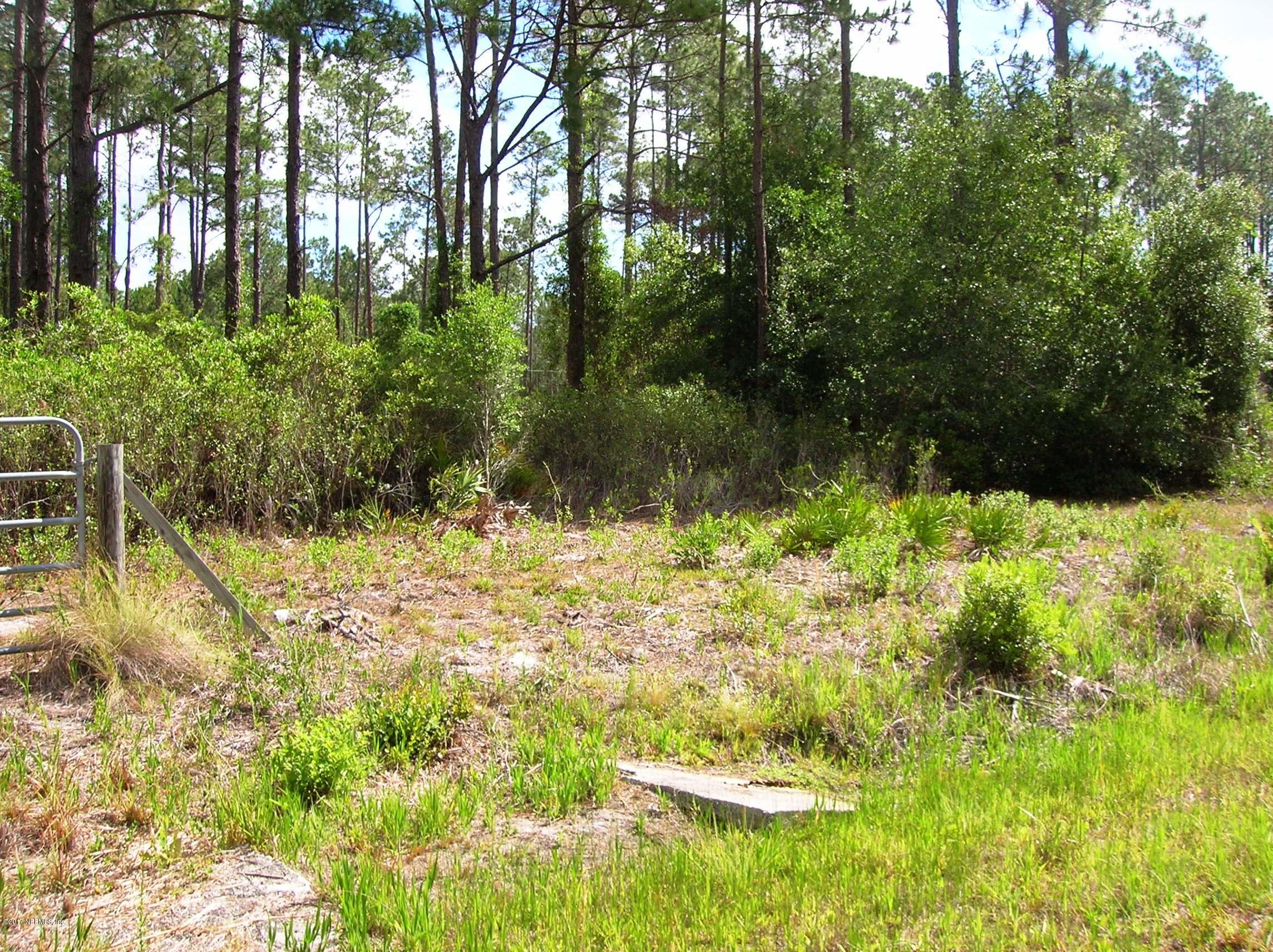 224 Georgetown Denver Road Georgetown, FL 32139 - Photo 3 of 10 Culvert Access to property