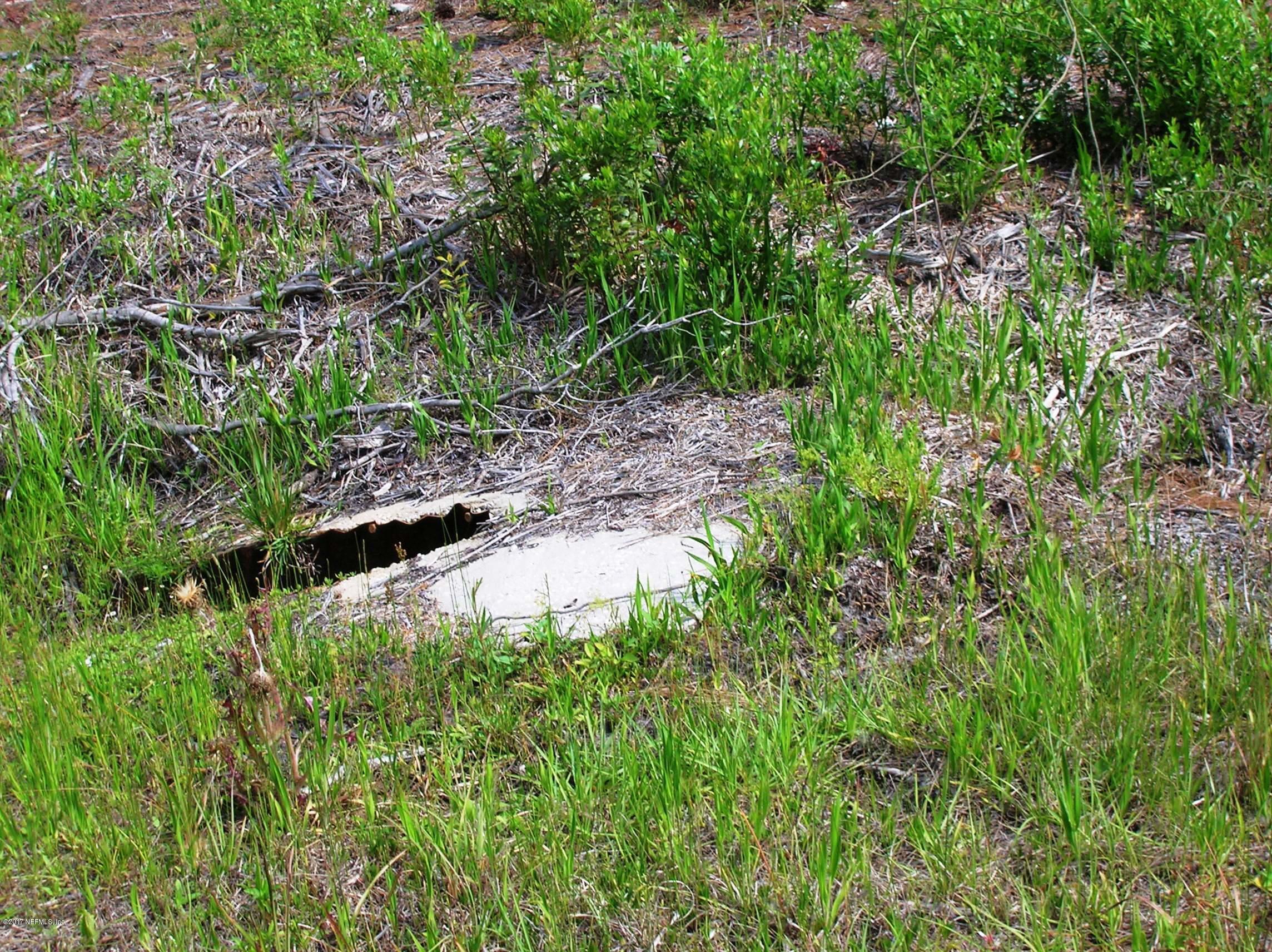 224 Georgetown Denver Road Georgetown, FL 32139 - Photo 4 of 10 Culvert