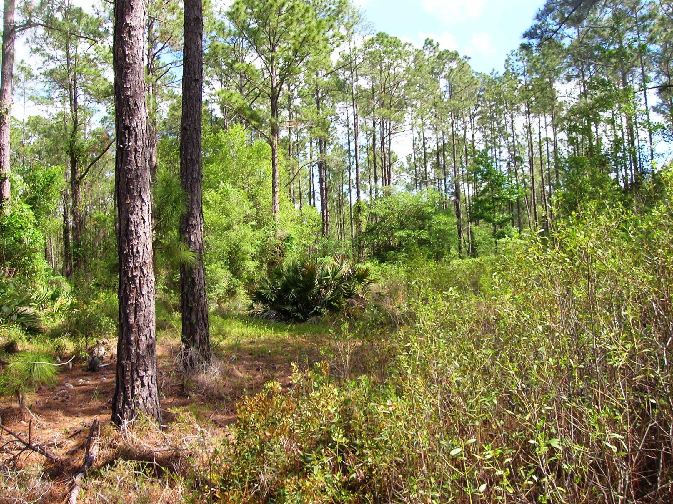 224 Georgetown Denver Road Georgetown, FL 32139 - Photo 5 of 10 almost cleared home site