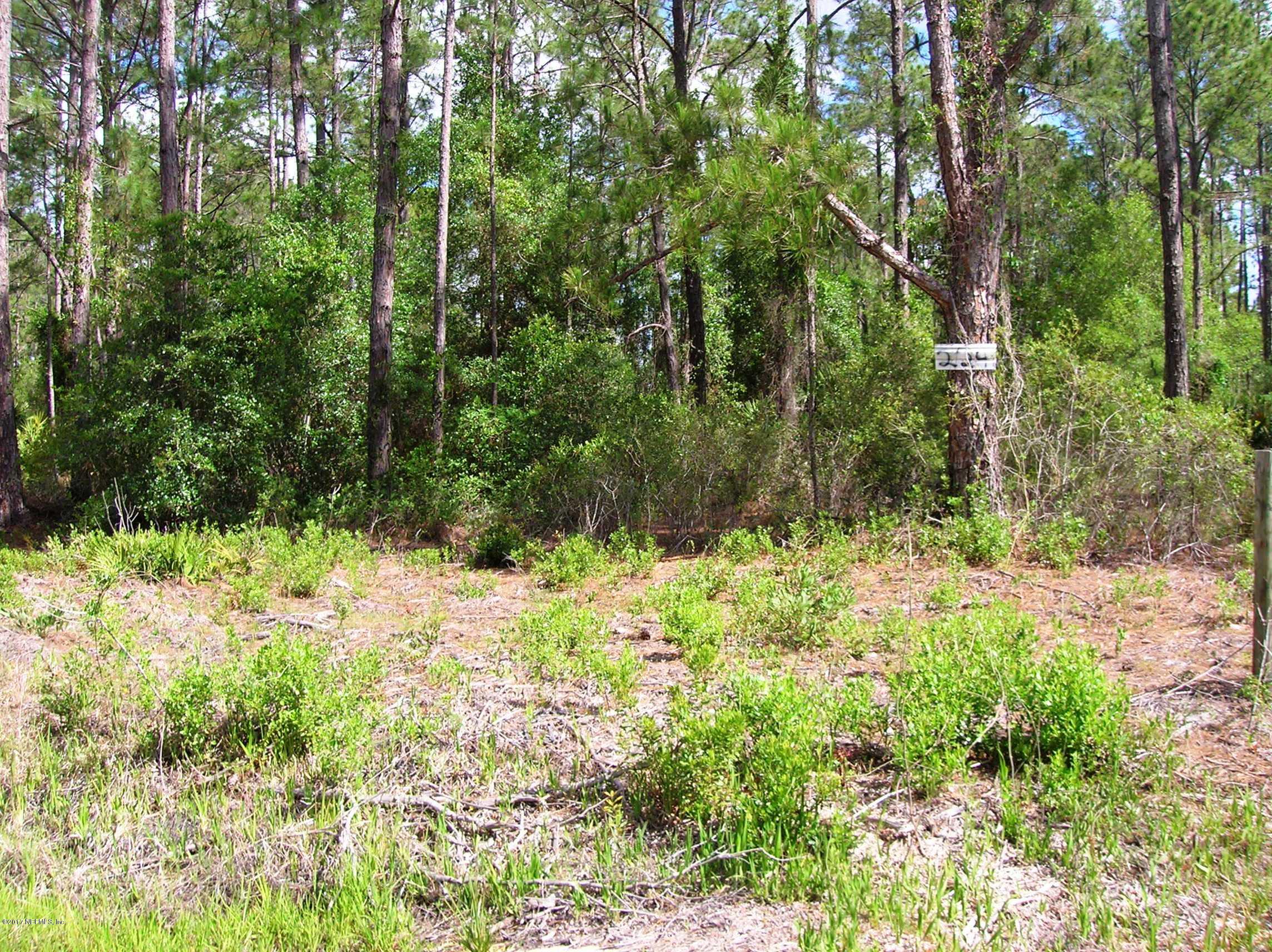 224 Georgetown Denver Road Georgetown, FL 32139 - Photo 7 of 10 Partially Cleared