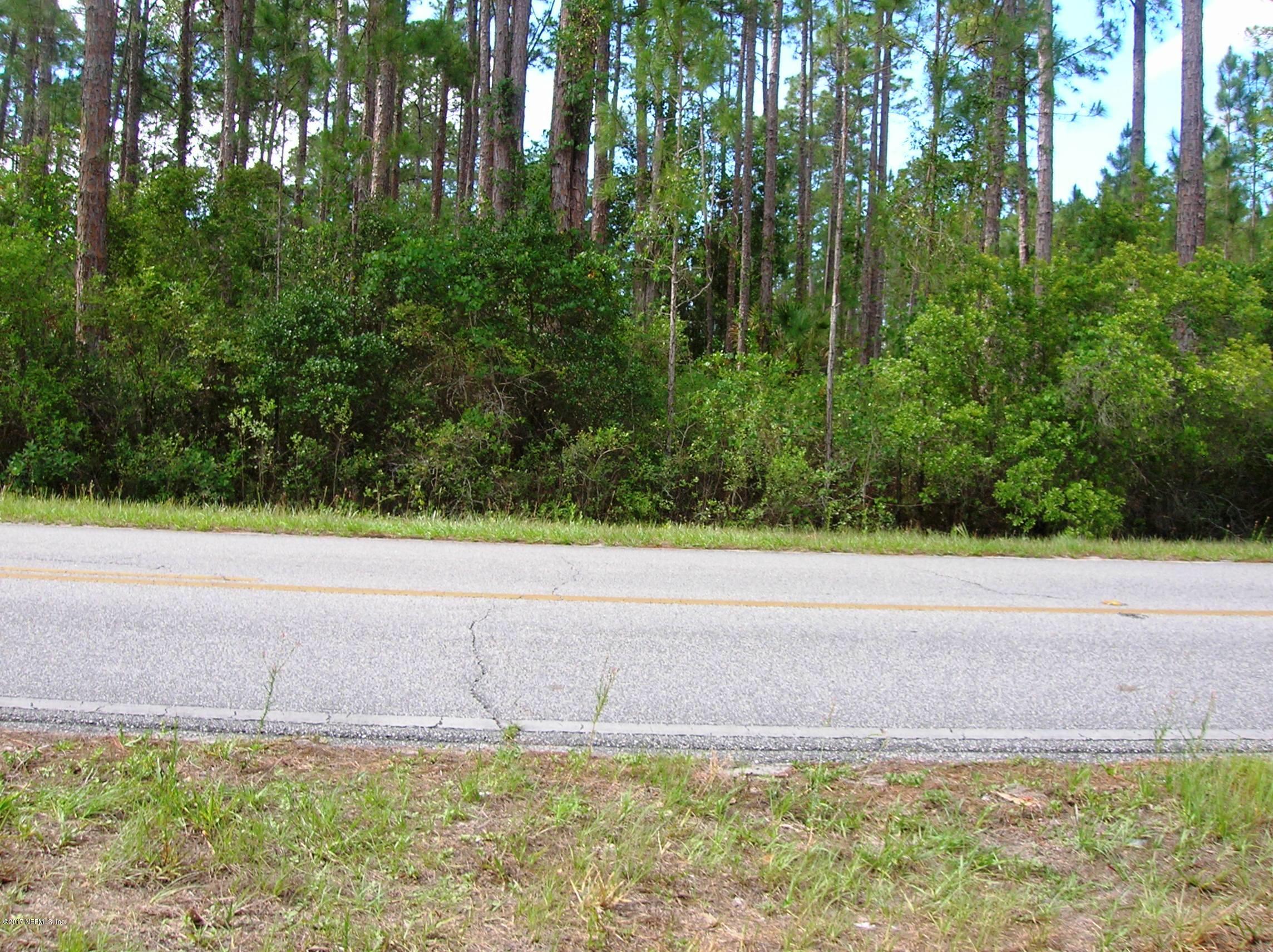 224 Georgetown Denver Road Georgetown, FL 32139 - Photo 10 of 10 View across the street