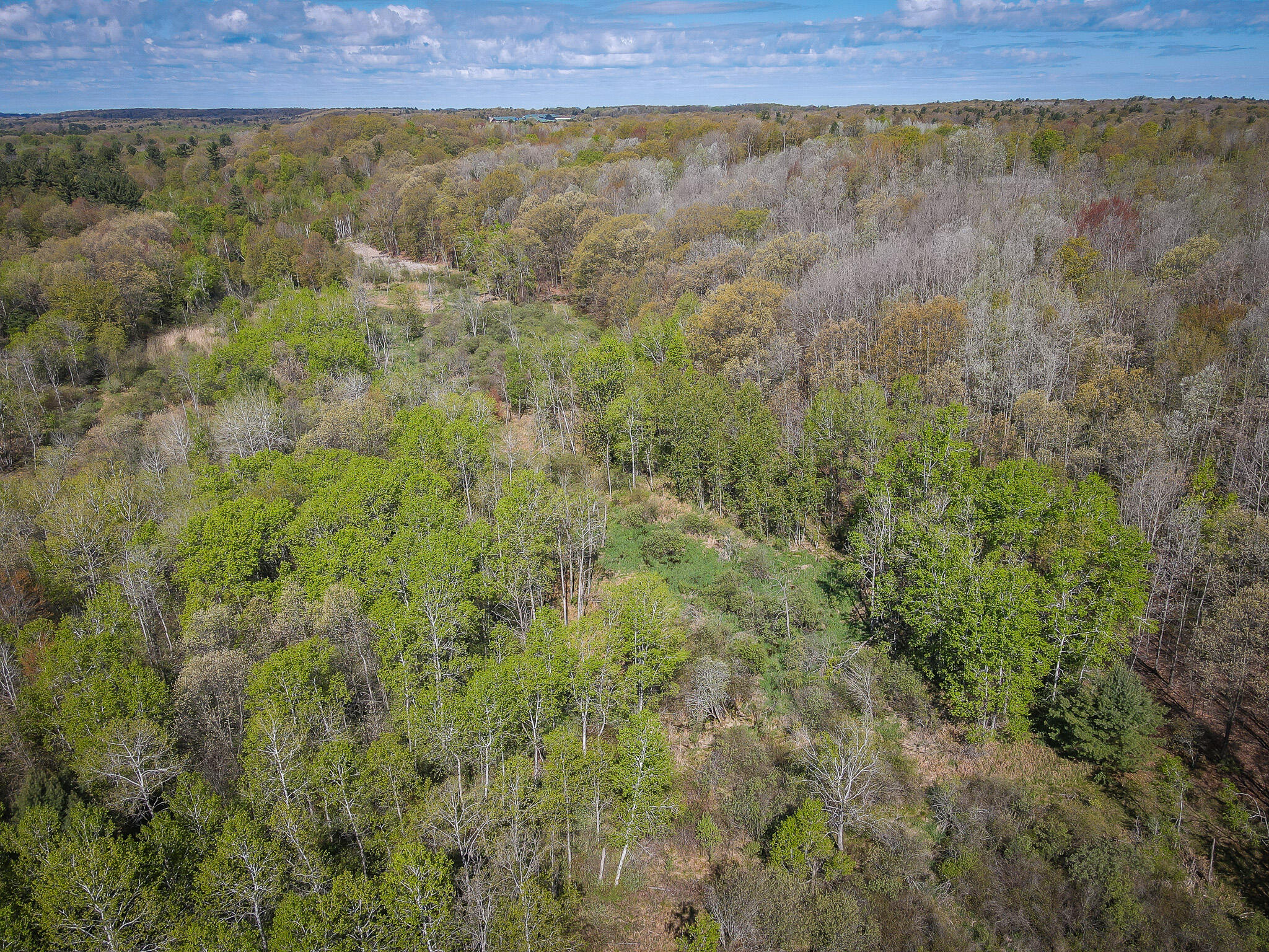 2314 Revolt Road Manistee, MI 49660 - Photo 15 of 48 dji_fly_20240510_104118_939_171535215116