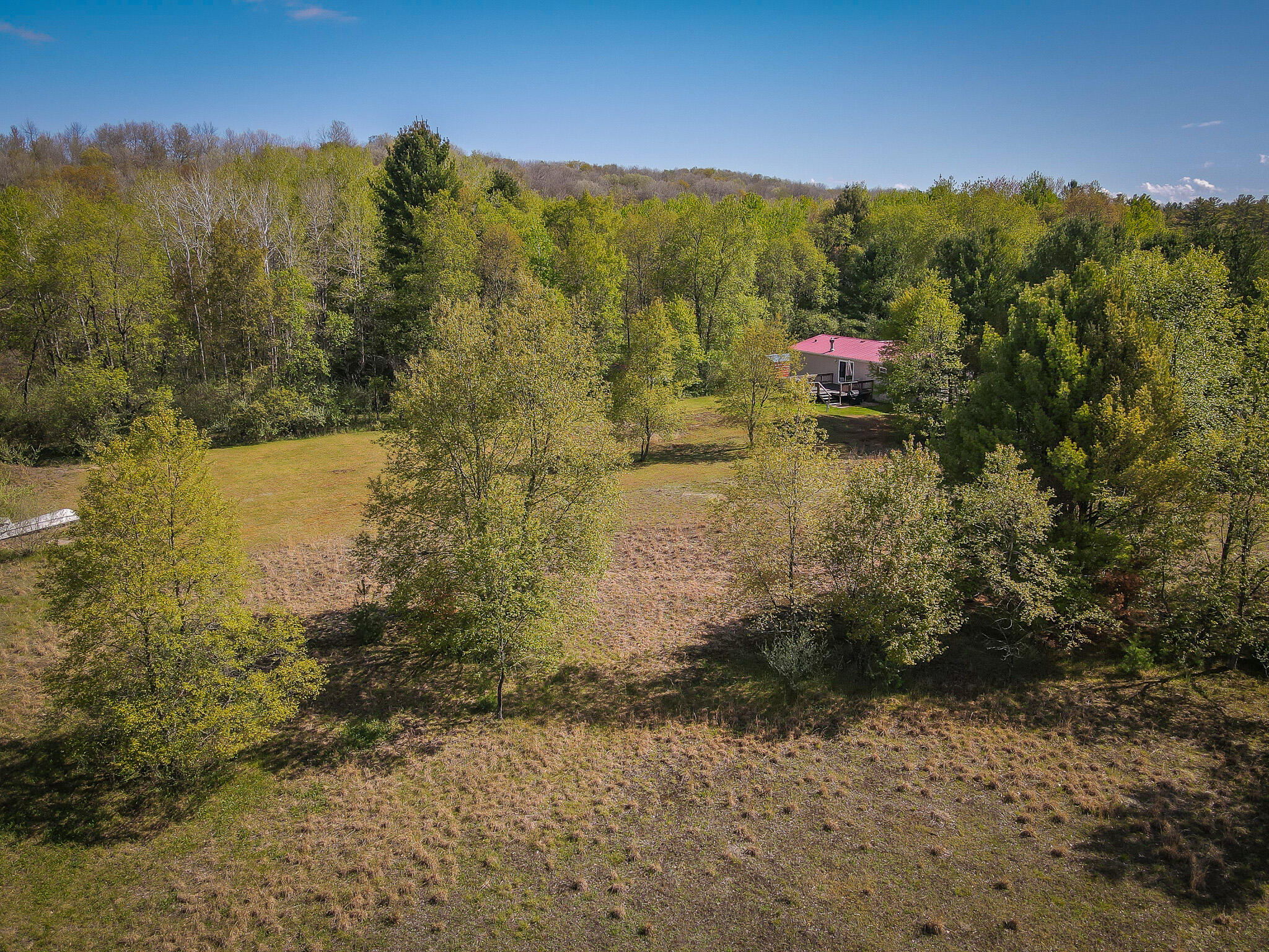 2314 Revolt Road Manistee, MI 49660 - Photo 17 of 48 dji_fly_20240510_104348_949_171535229703