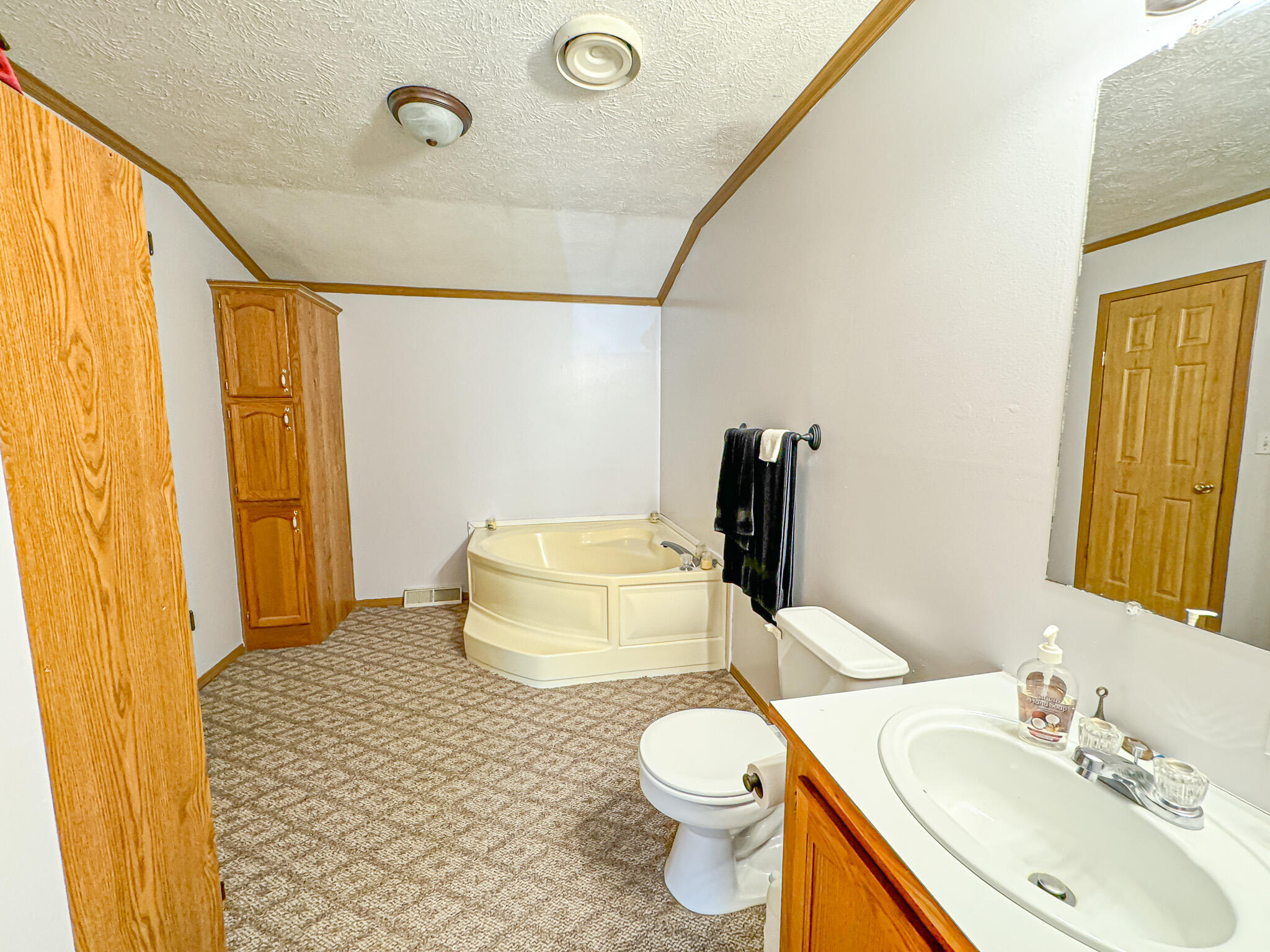 2314 Revolt Road Manistee, MI 49660 - Photo 33 of 48 IMG_4662 - Copy