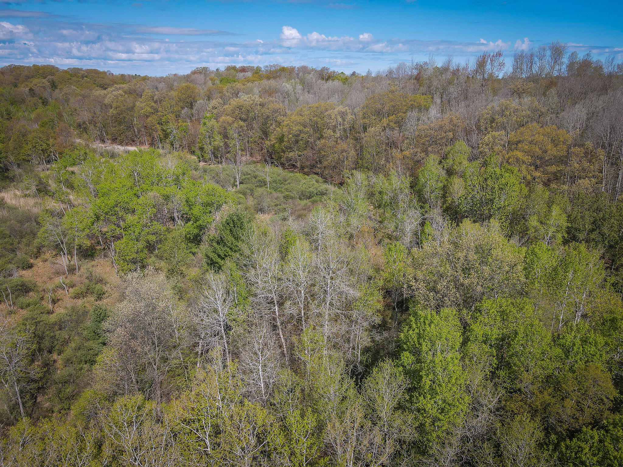 2314 Revolt Road Manistee, MI 49660 - Photo 44 of 48 dji_fly_20240510_104214_944_171535230831