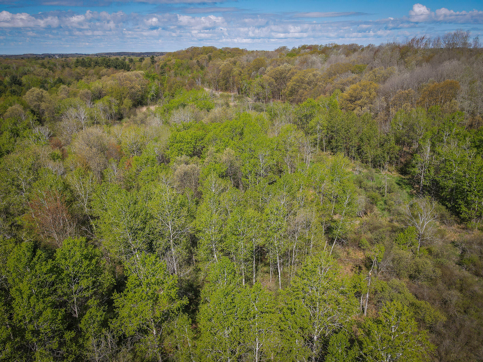2314 Revolt Road Manistee, MI 49660 - Photo 45 of 48 dji_fly_20240510_104154_942_171535231288