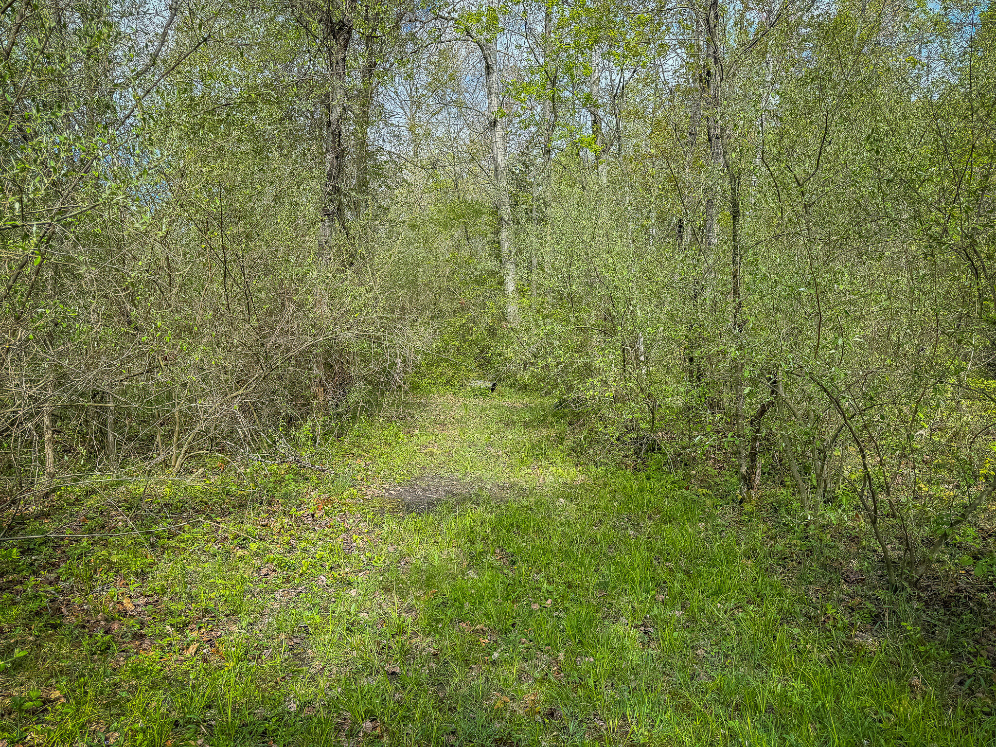 2314 Revolt Road Manistee, MI 49660 - Photo 47 of 48 IMG_4686