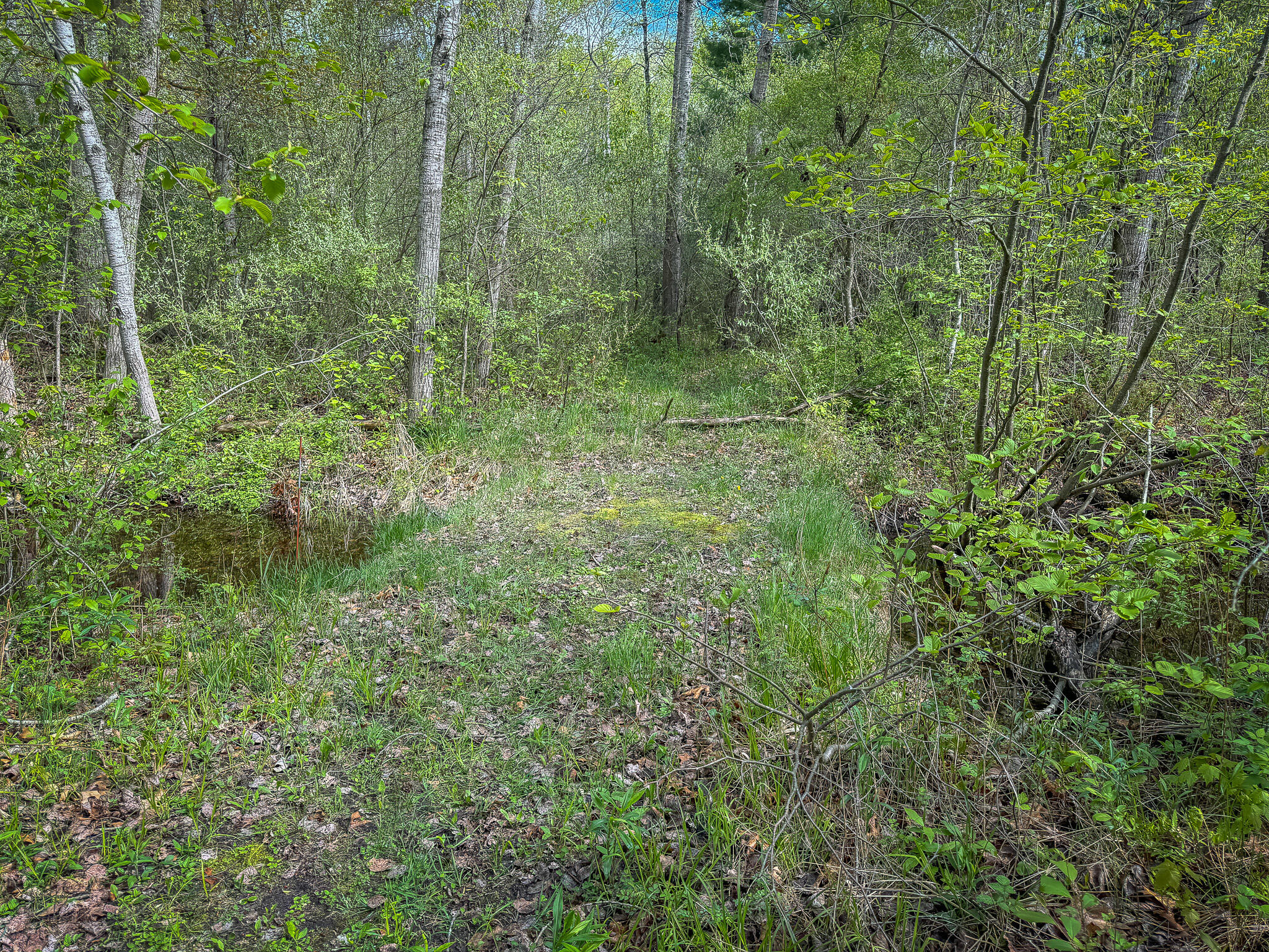 2314 Revolt Road Manistee, MI 49660 - Photo 48 of 48 IMG_4687