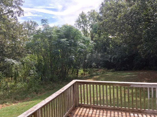 545 Rocky Creek Road Johnston, SC 29832 - Photo 9 of 10