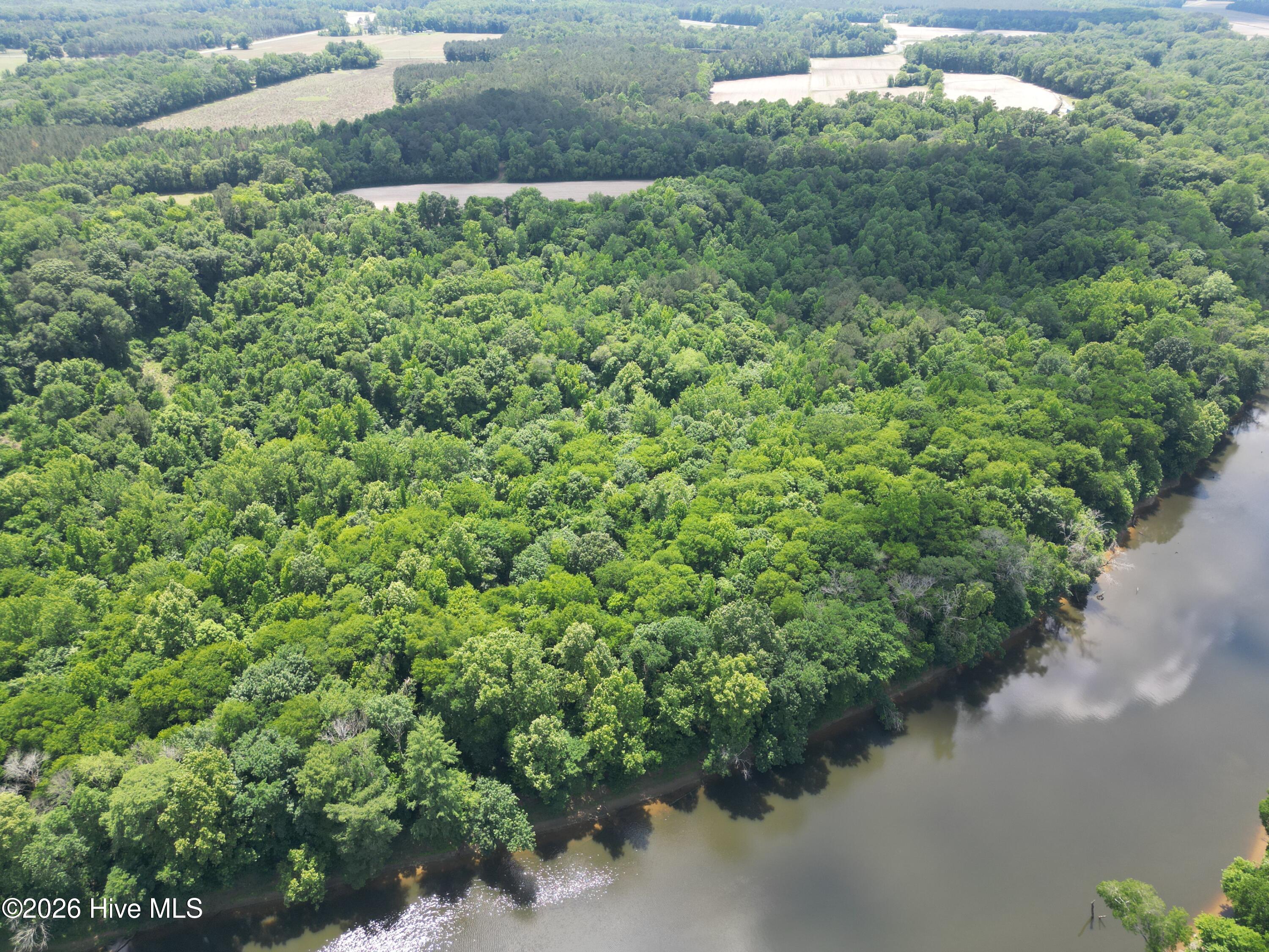 1336 Owen Hill Road Elizabethtown, NC 28337 - Photo 6 of 10 DJI_0204 (1)