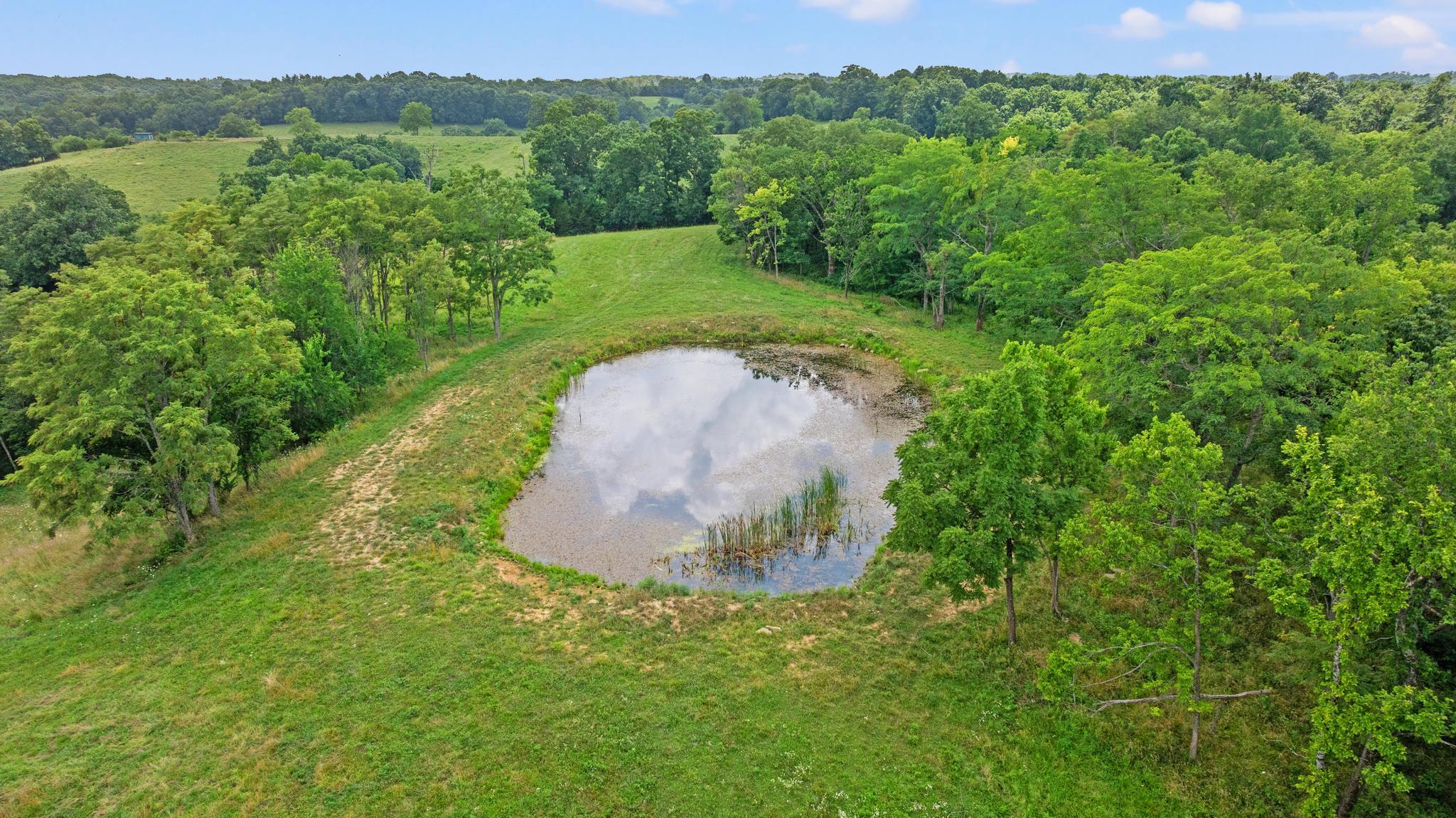 783 B Rutland Road, Unit A Cynthiana, KY 41031 - Photo 8 of 16 DJI_20260618123752_0877_D