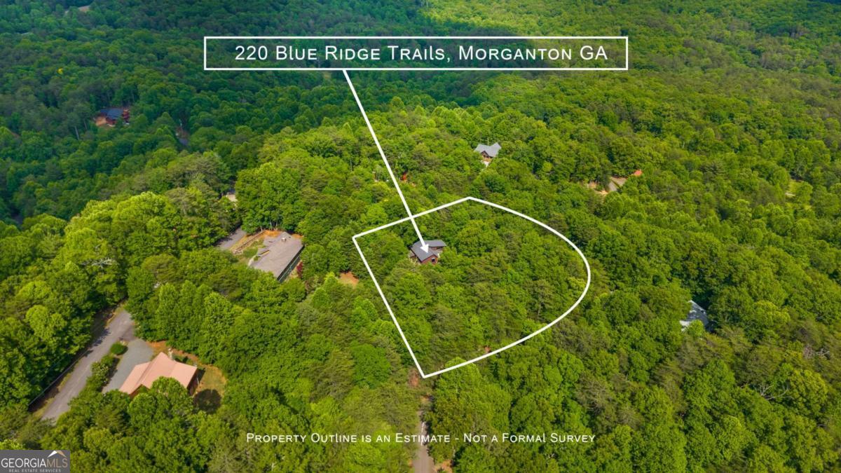 220 Blue Ridge Trail, Unit 217 Morganton, GA 30560 - Photo 10 of 55