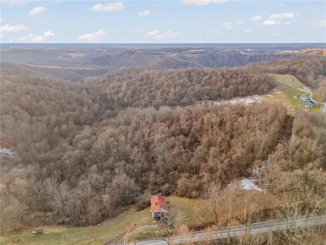 a view of a dry yard