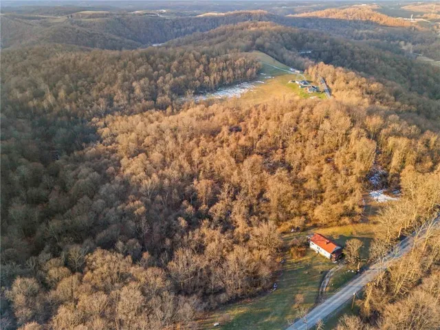 a view of a dry yard