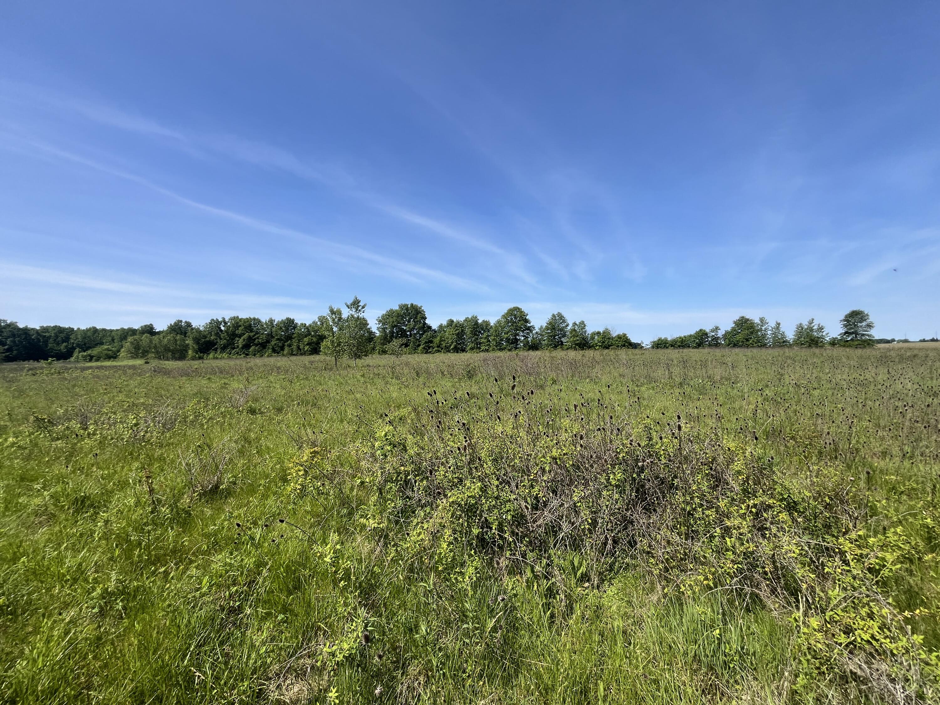 0 Boundary Road Richwood, OH 43344 - Photo 15 of 32