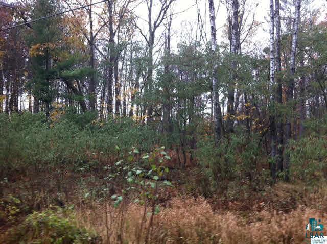 Lot 2 East Bolognesi Road Lake Nebagamon, WI 54849 - Photo 1 of 2 Gallery Image 1