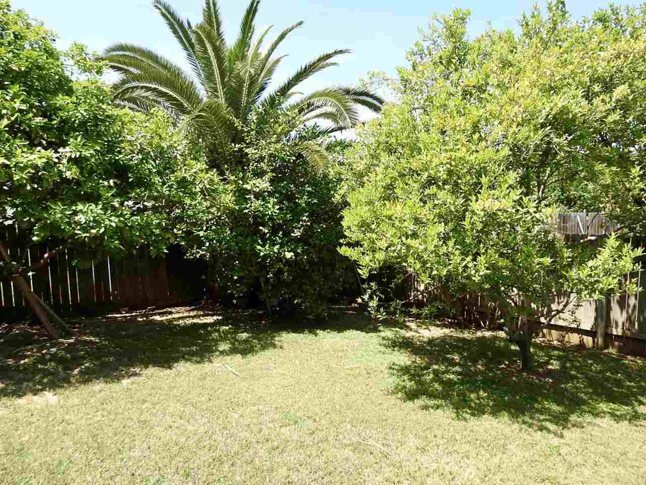 3247 St Kathryn Loop Laredo, TX 78046 - Photo 15 of 20 Gallery Image 15