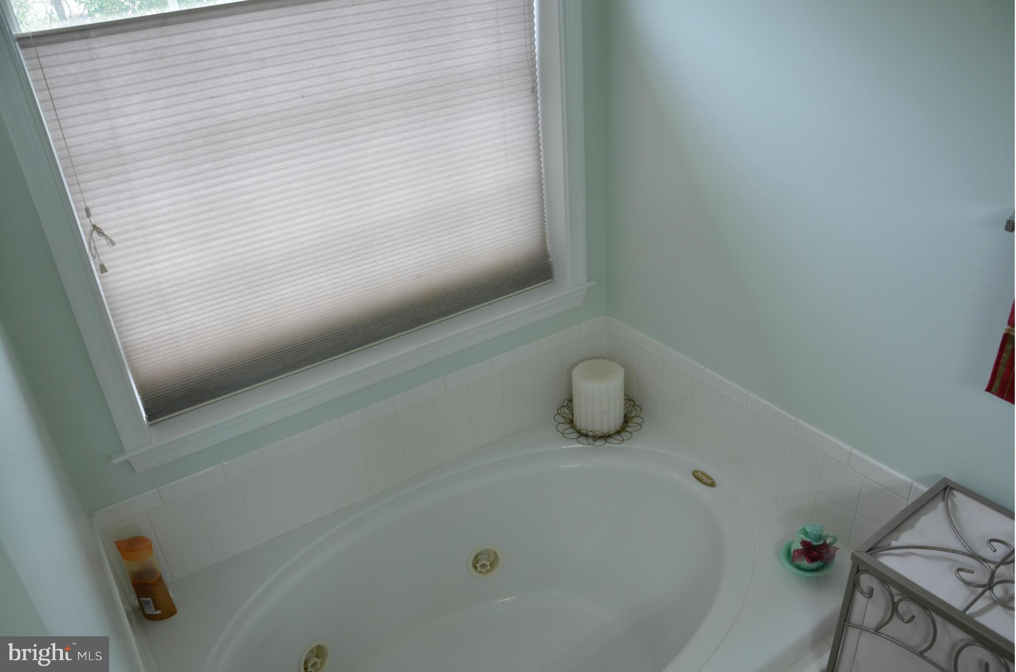 6508 Milva Lane Springfield, VA 22150 - Photo 11 of 22 Bath (Master)