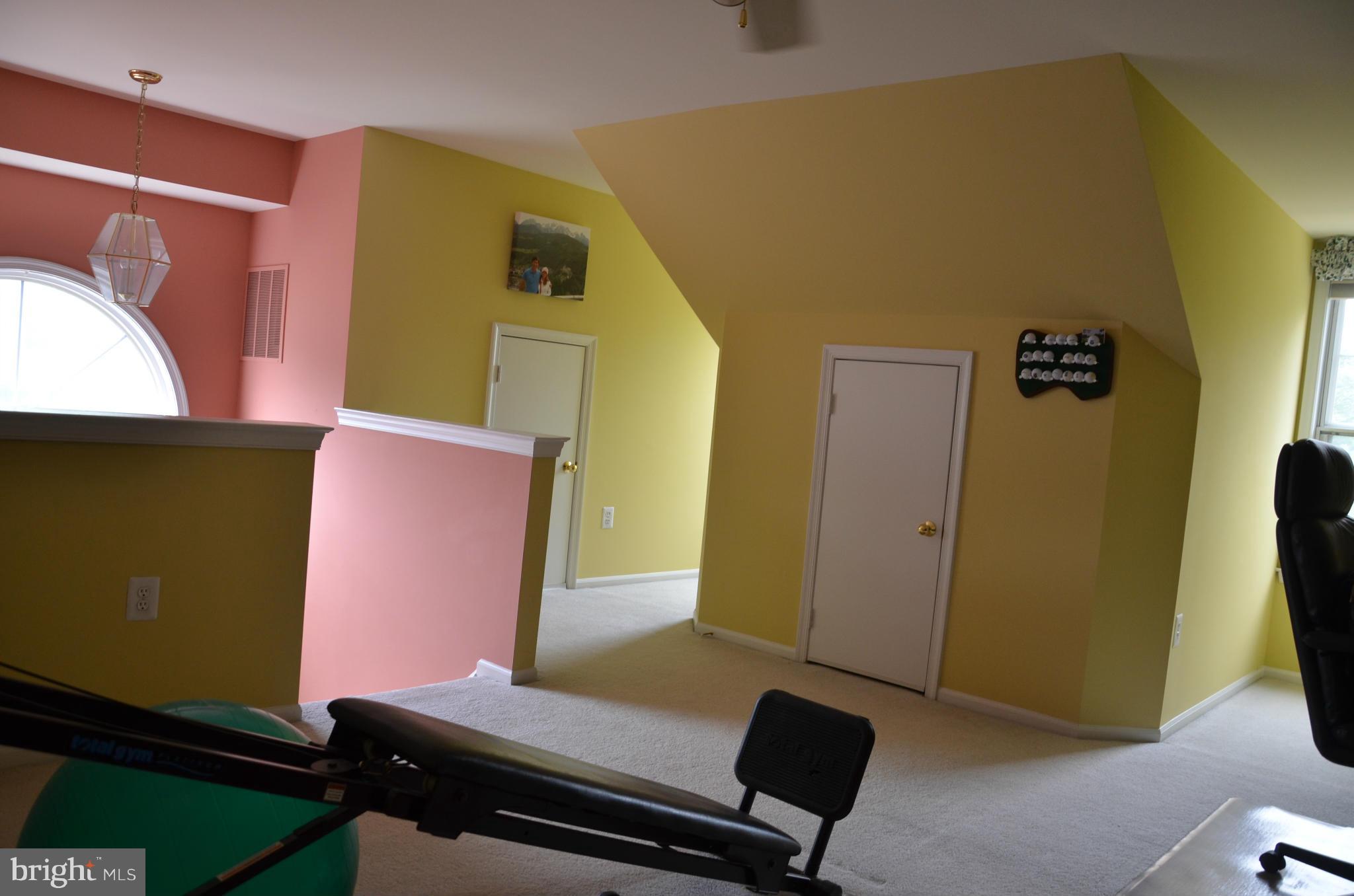 6508 Milva Lane Springfield, VA 22150 - Photo 17 of 22 Extra storage areas in loft