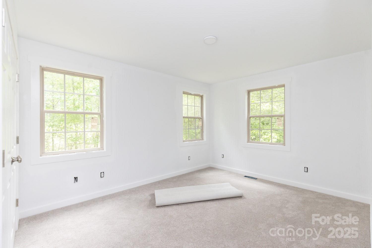 109 Tumblebug Trail Road Flat Rock, NC 28731 - Photo 14 of 22