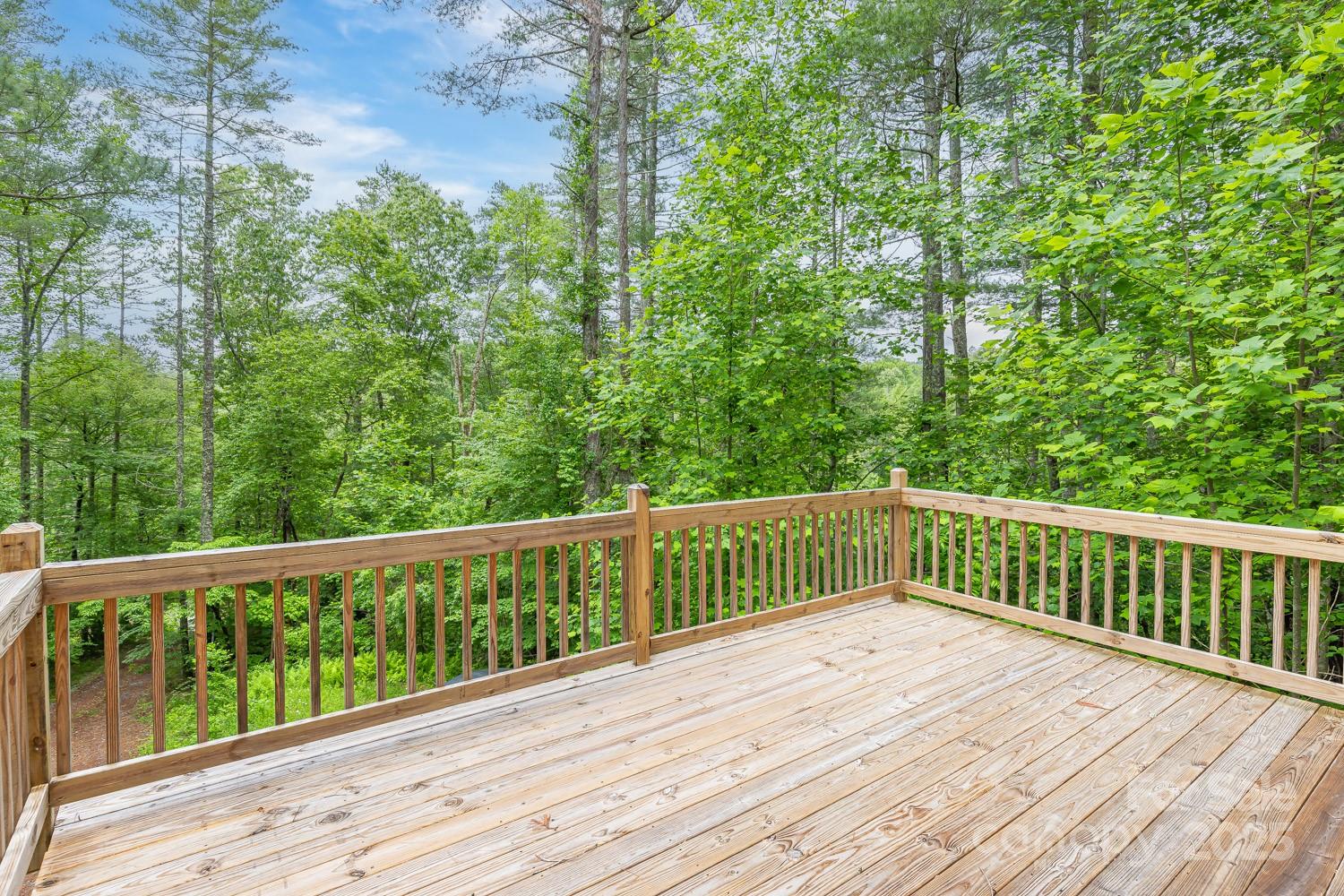 109 Tumblebug Trail Road Flat Rock, NC 28731 - Photo 19 of 22