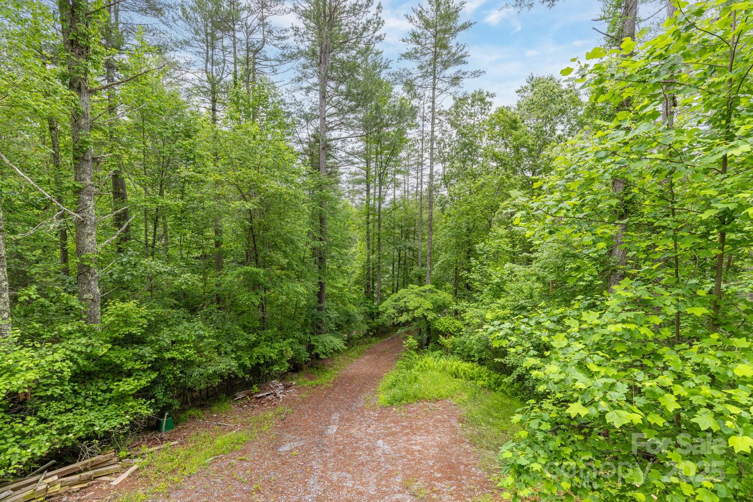 109 Tumblebug Trail Road Flat Rock, NC 28731 - Photo 20 of 22