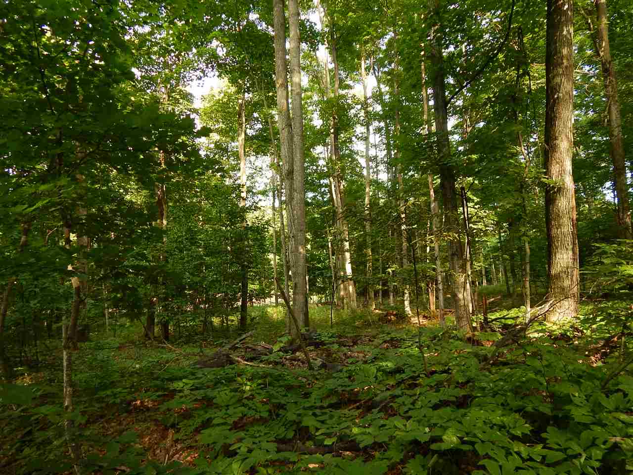 11212 West 26 Â⾠Road Harrietta, MI 49638 - Photo 6 of 64 1823593-5.JPG