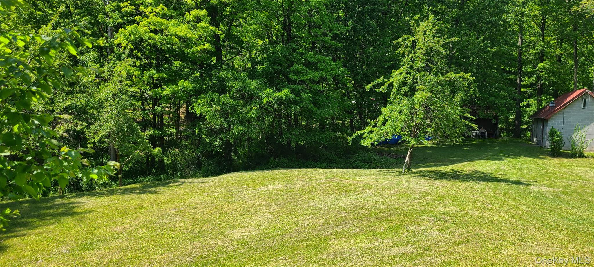 71-79 Dashville Road New Paltz, NY 12561 - Photo 2 of 11 a view of swimming pool with a yard