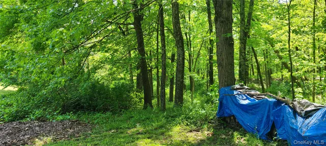 a yard with lots of green space