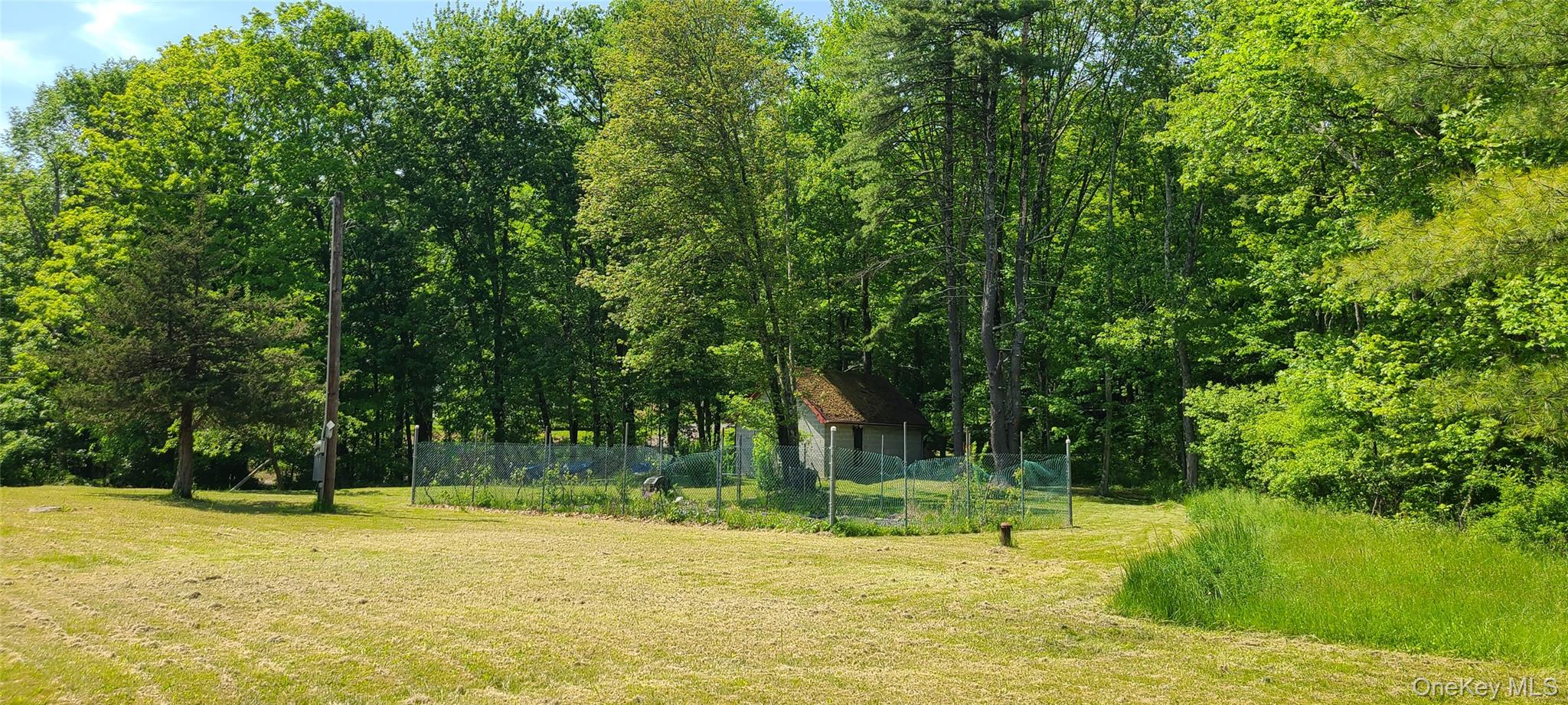71-79 Dashville Road New Paltz, NY 12561 - Photo 7 of 11 a swimming pool with trees in the background