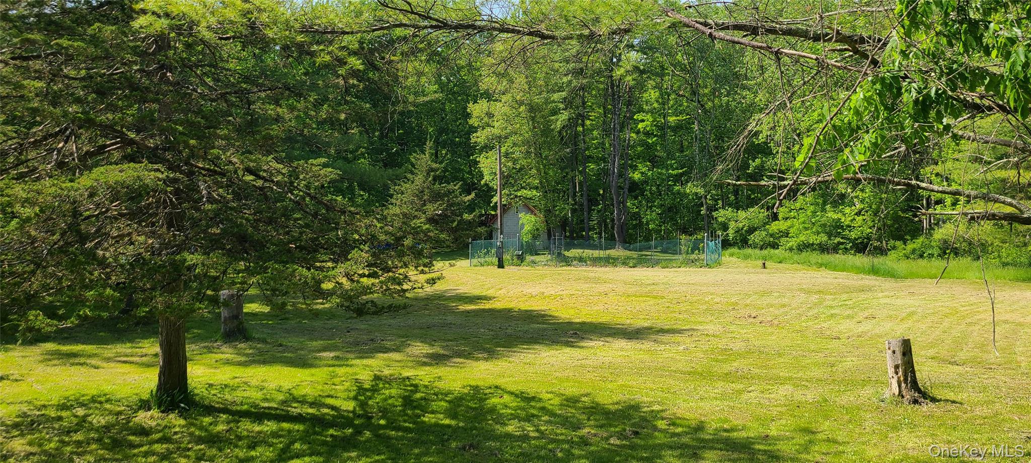 71-79 Dashville Road New Paltz, NY 12561 - Photo 9 of 11 a view of a yard with an outdoor space