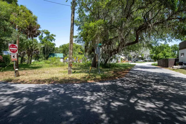 a view of a park with plants and trees