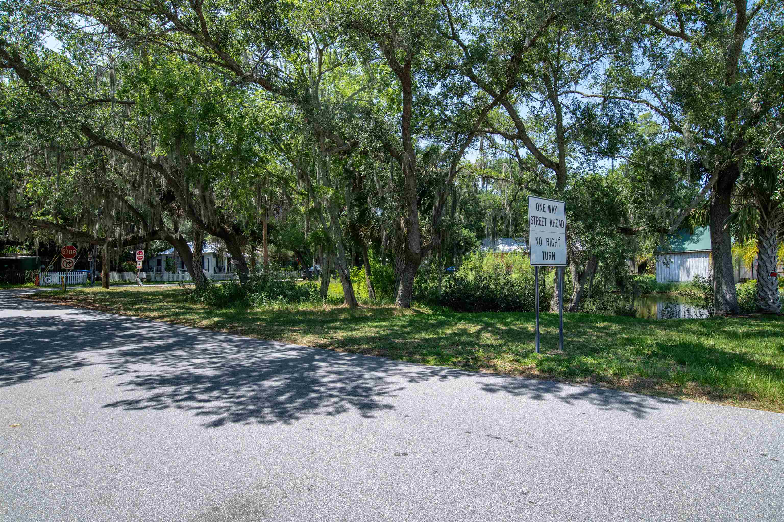 27 Davis Street St. Augustine, FL 32084 - Photo 12 of 14 a view of a park with plants and trees