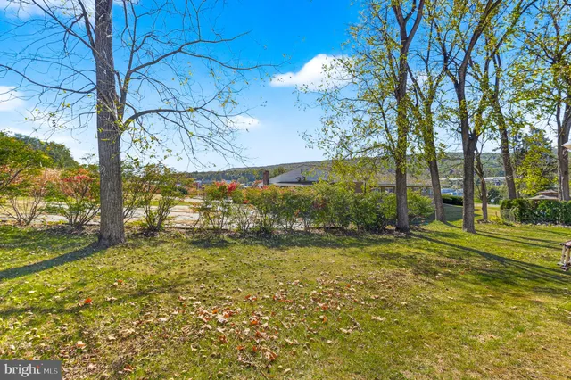 a view of a yard with an trees